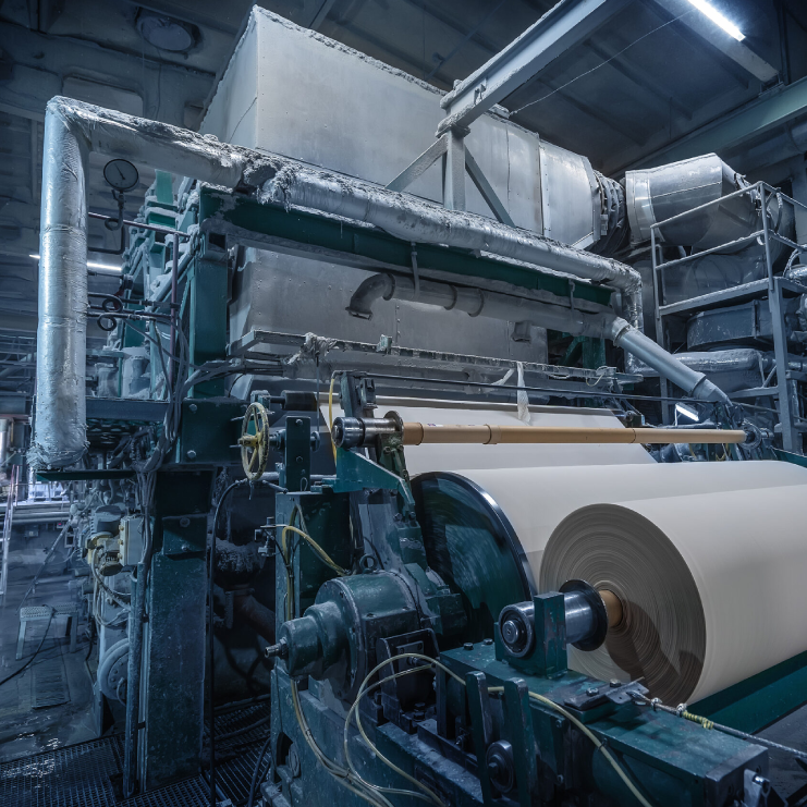 <br>Papel e celulose